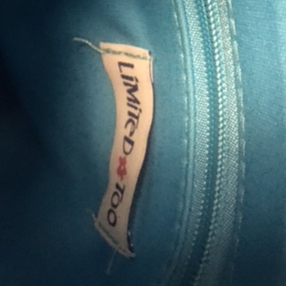 Limited Too Purse - Picture 6 of 6